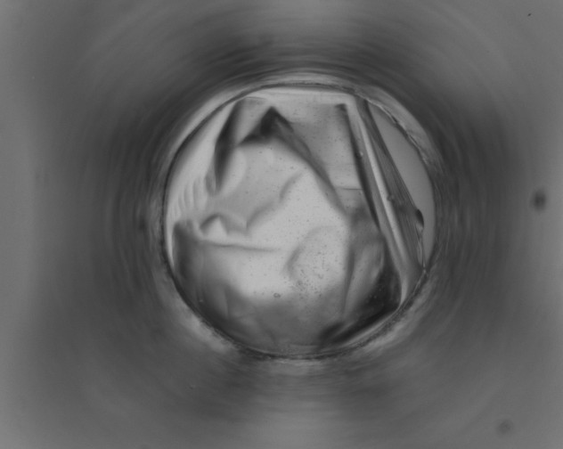 X0000094200860200711241636