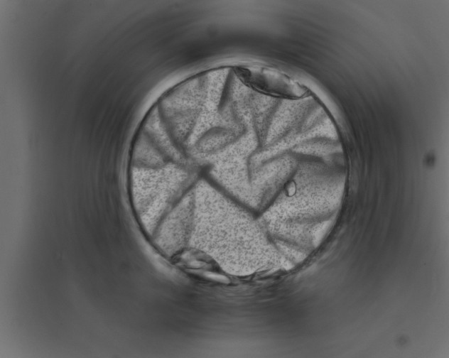 X0000094200861200711241636