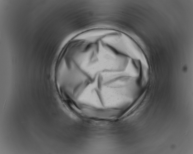 X0000094200862200711241636