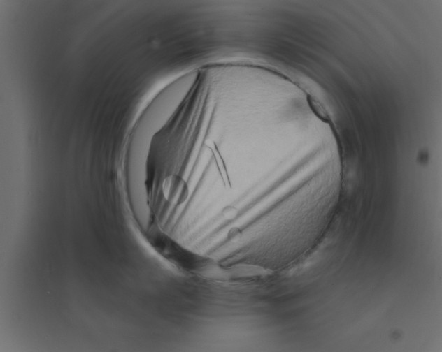 X0000094200863200711241636