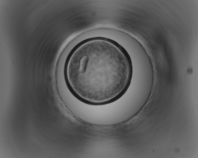X0000094200864200711241636