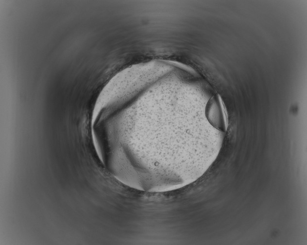 X0000094200866200711241635