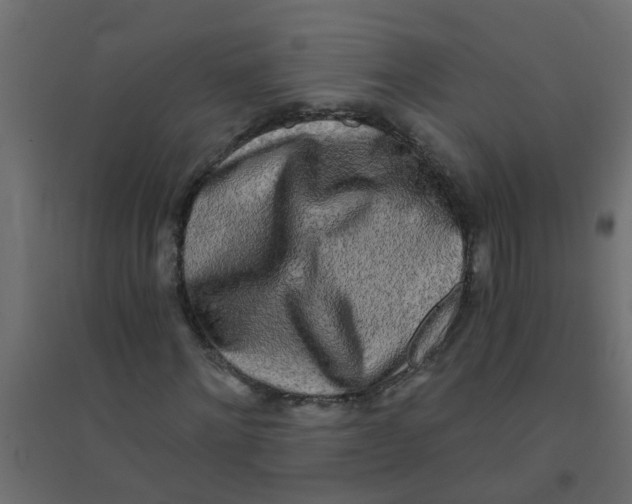X0000094200868200711241635