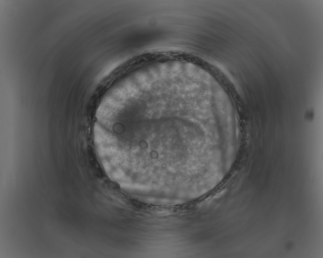 X0000094200871200711241635