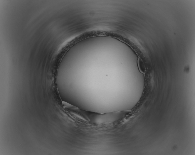 X0000094200872200711241635