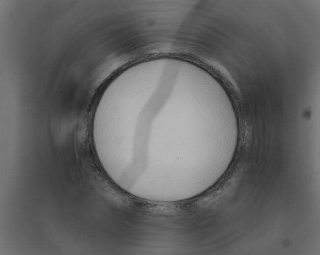 X0000094200874200711241635