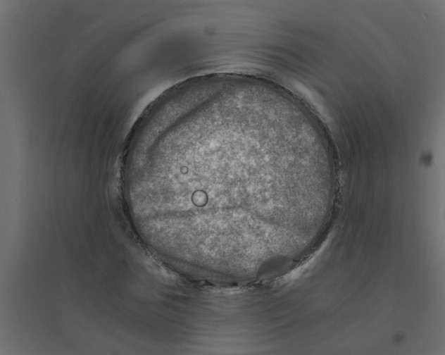 X0000094200875200711241635