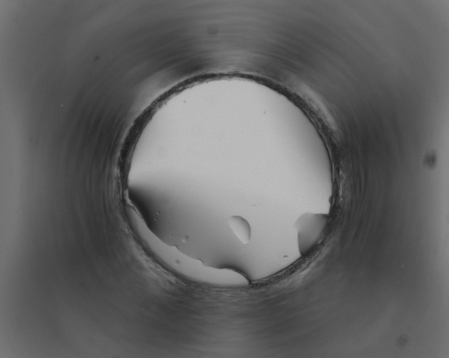 X0000094200876200711241635