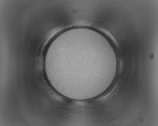 X0000094200878200711241635