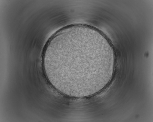 X0000094200879200711241635