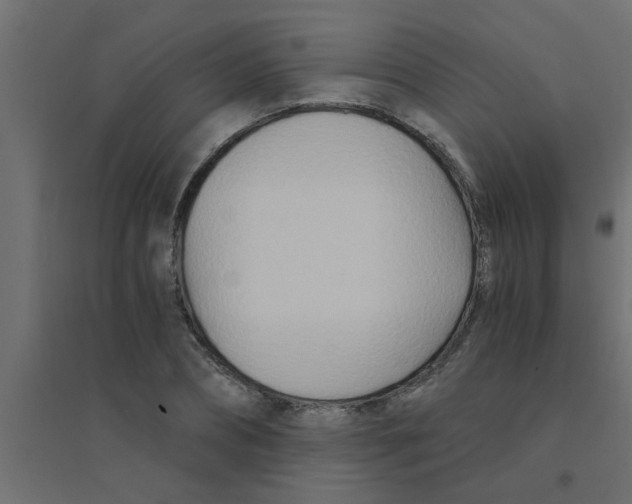 X0000094200882200711241635