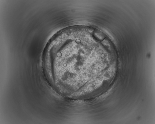 X0000094200883200711241635