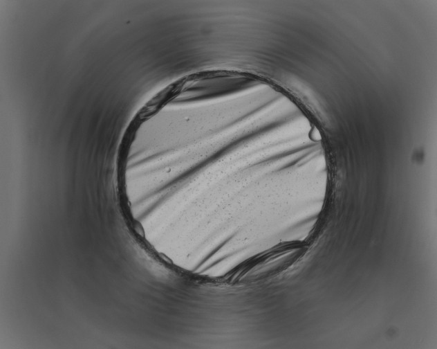 X0000094200884200711241635