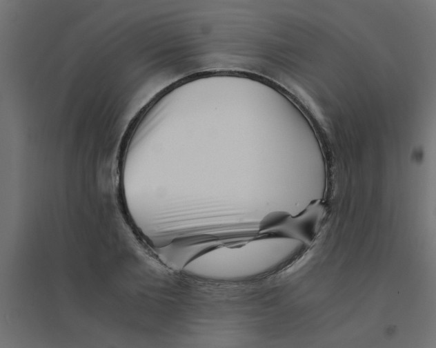 X0000094200885200711241635