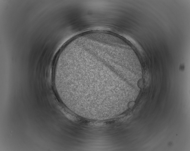 X0000094200886200711241635