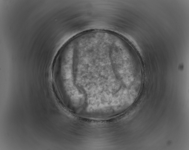 X0000094200887200711241635
