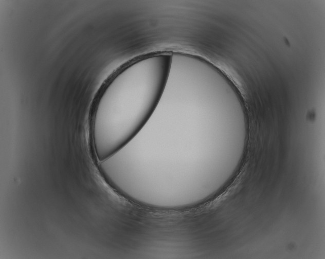 X0000094200888200711241635