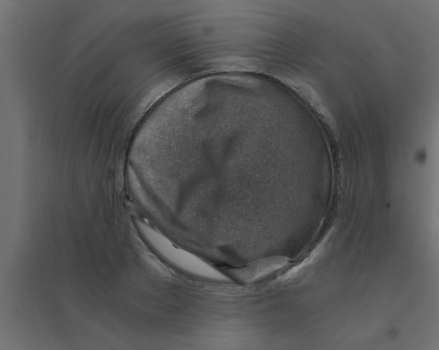 X0000094200889200711241635
