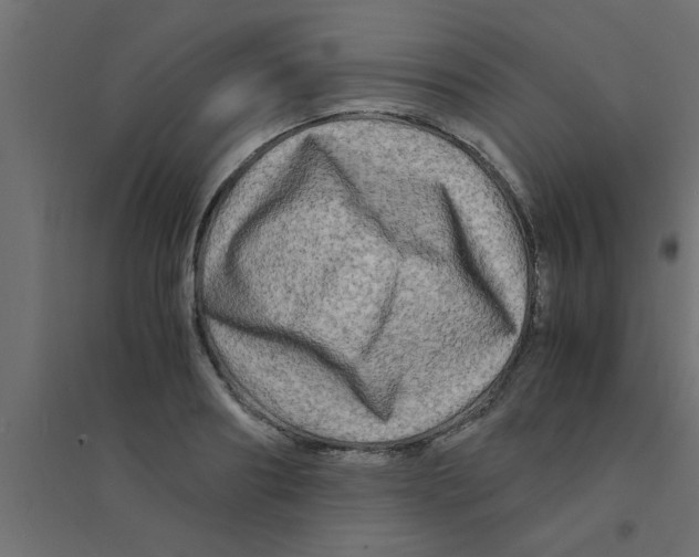 X0000094200890200711241635