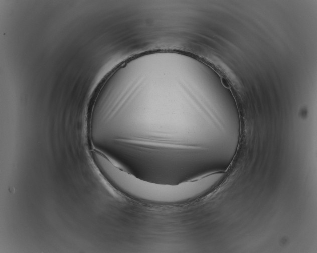 X0000094200894200711241634