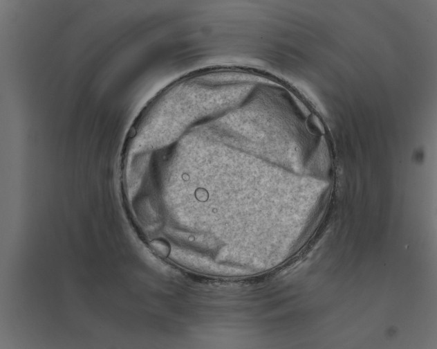 X0000094200895200711241634