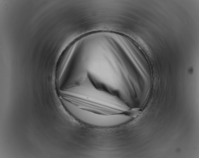 X0000094200896200711241634