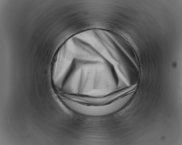 X0000094200898200711241634