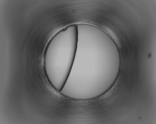 X0000094200900200711241634