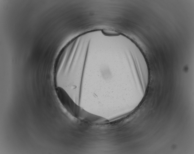 X0000094200902200711241634