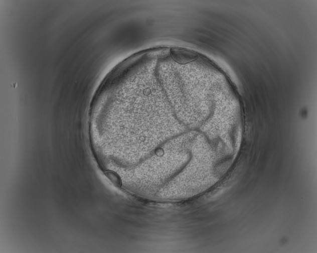 X0000094200903200711241634