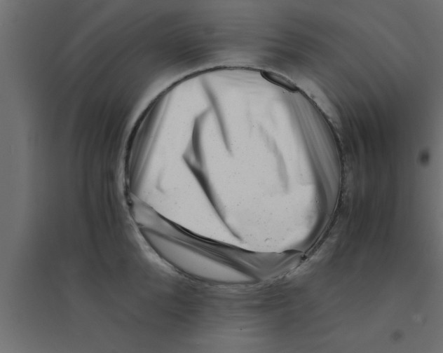 X0000094200904200711241634