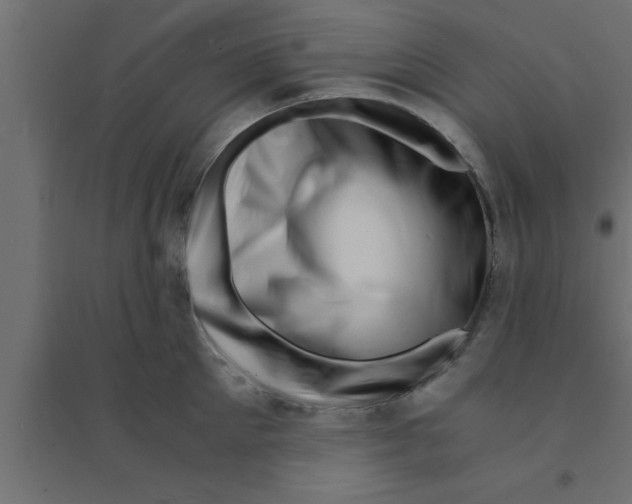 X0000094200905200711241634