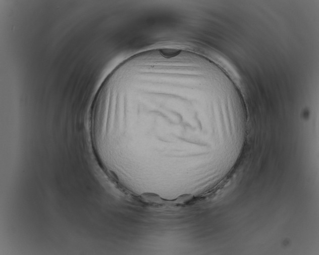 X0000094200907200711241634