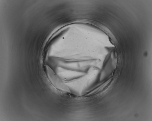 X0000094200908200711241634