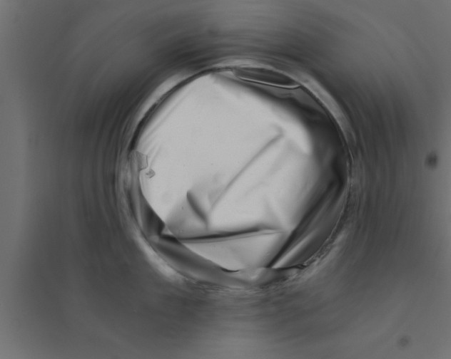 X0000094200909200711241634