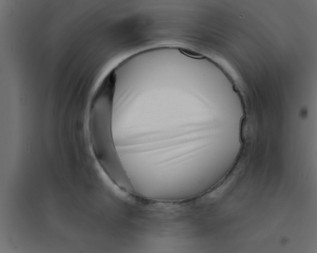 X0000094200910200711241634