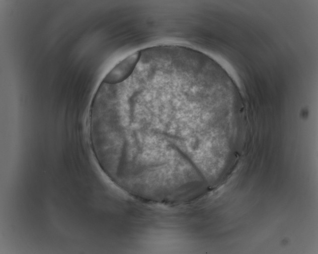 X0000094200911200711241634