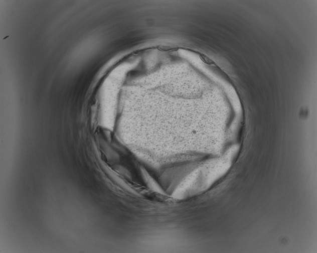 X0000094200912200711241634