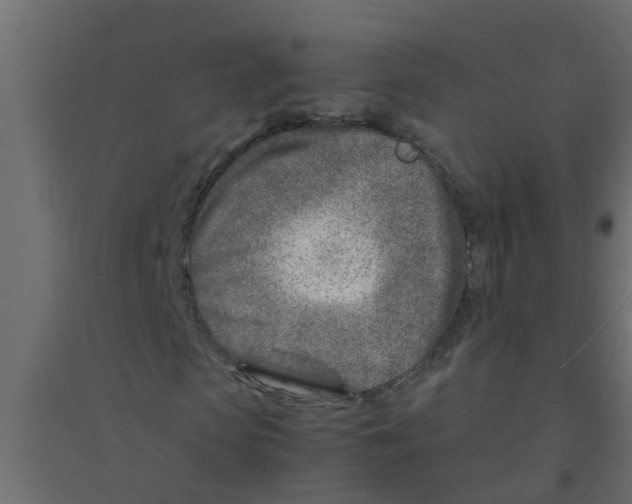 X0000094200913200711241634