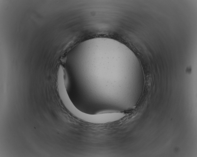 X0000094200916200711241634