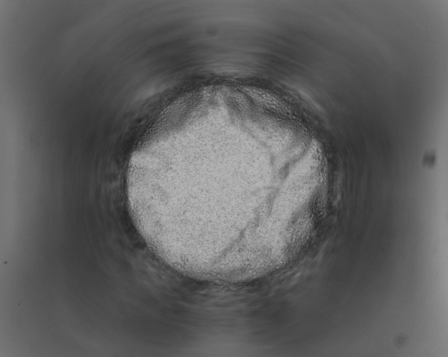 X0000094200917200711241634