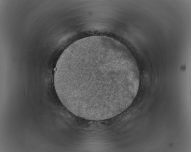 X0000094200918200711241634