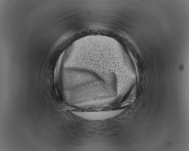 X0000094200919200711241634
