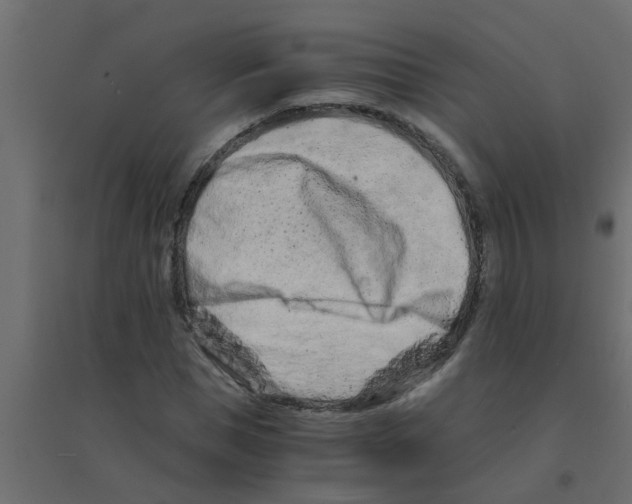 X0000094200921200711241634