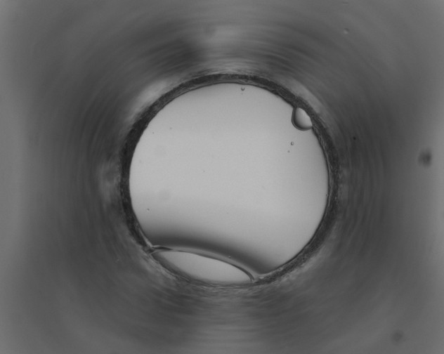 X0000094200922200711241634
