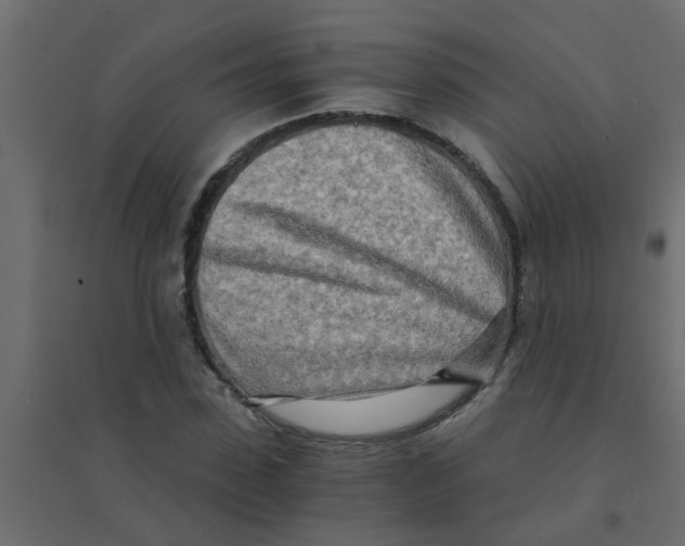 X0000094200923200711241634