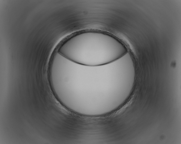 X0000094200924200711241634