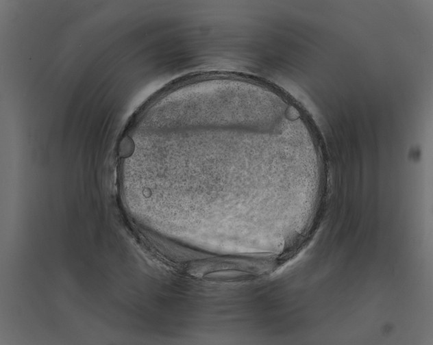 X0000094200925200711241634