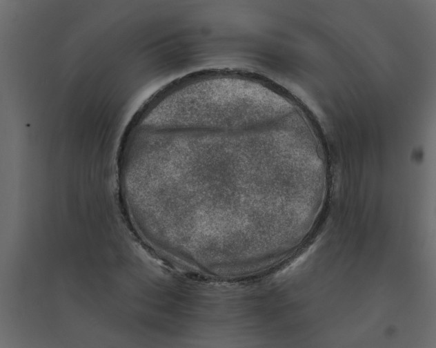 X0000094200927200711241634