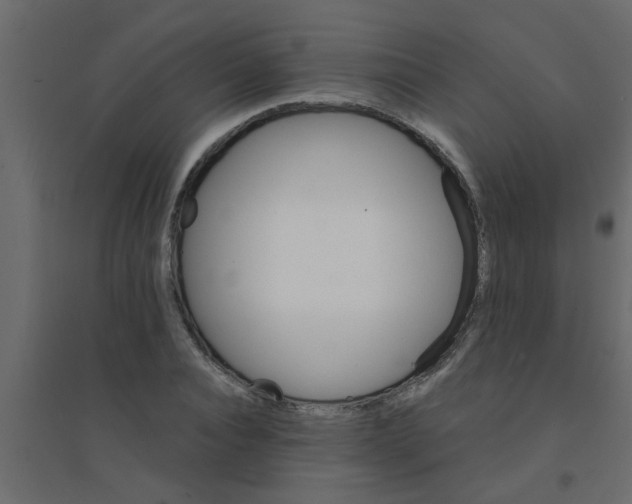 X0000094200928200711241634